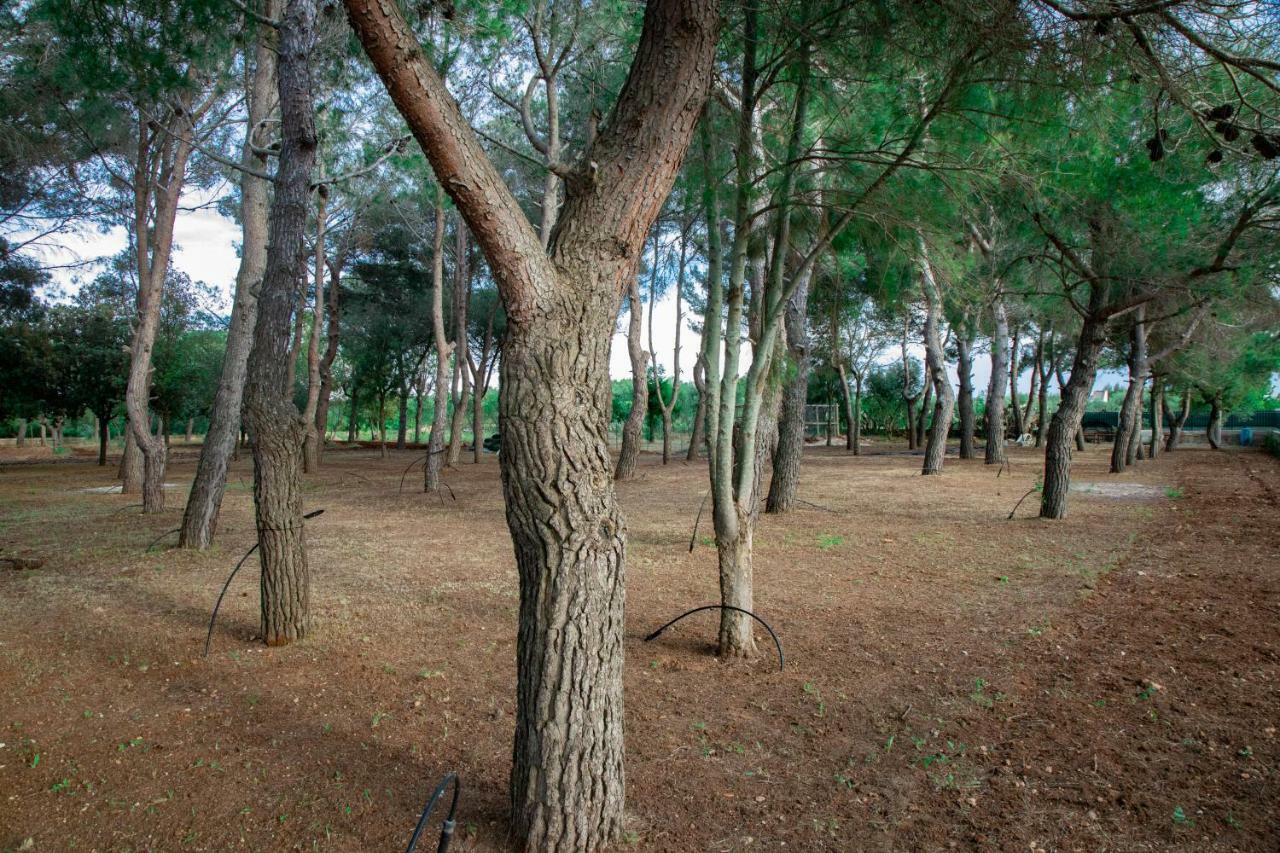 Relais D 'Itria Bed and Breakfast Grottaglie Εξωτερικό φωτογραφία