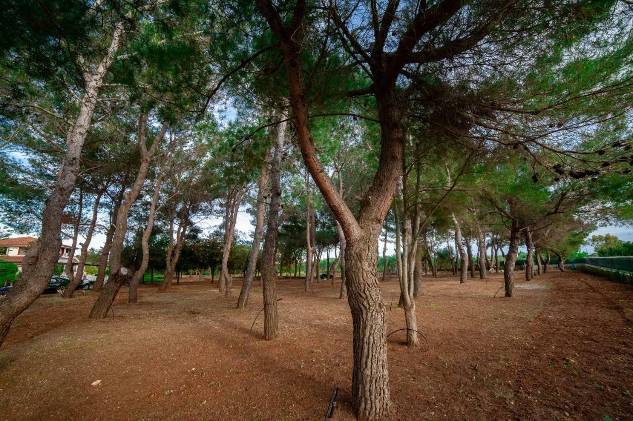 Relais D 'Itria Bed and Breakfast Grottaglie Εξωτερικό φωτογραφία