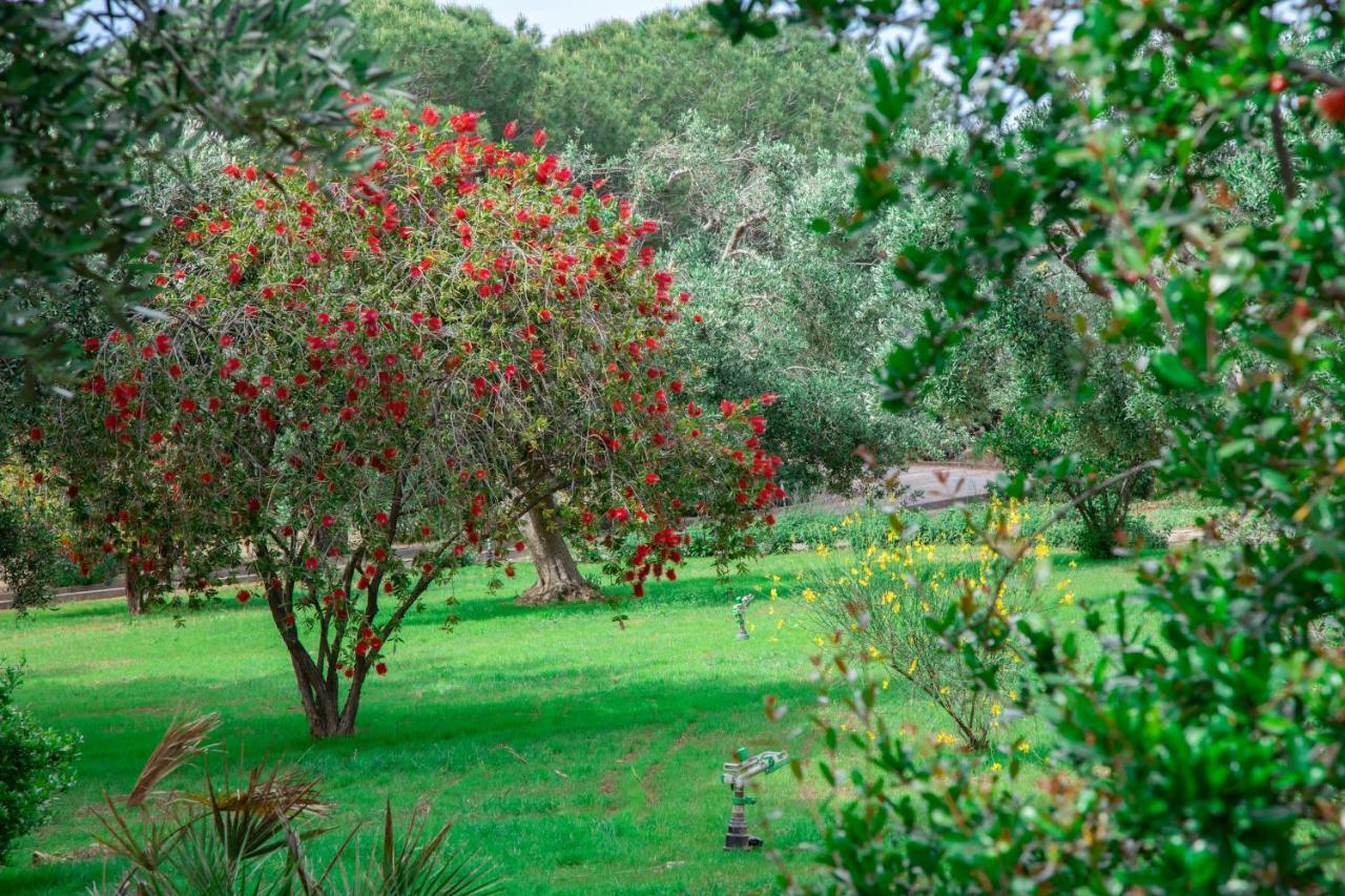 Relais D 'Itria Bed and Breakfast Grottaglie Εξωτερικό φωτογραφία