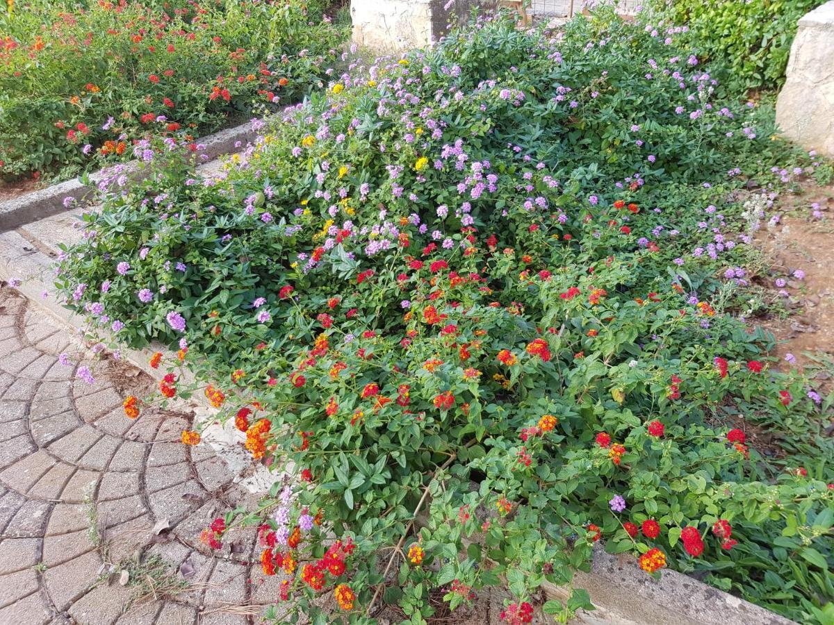 Relais D 'Itria Bed and Breakfast Grottaglie Εξωτερικό φωτογραφία