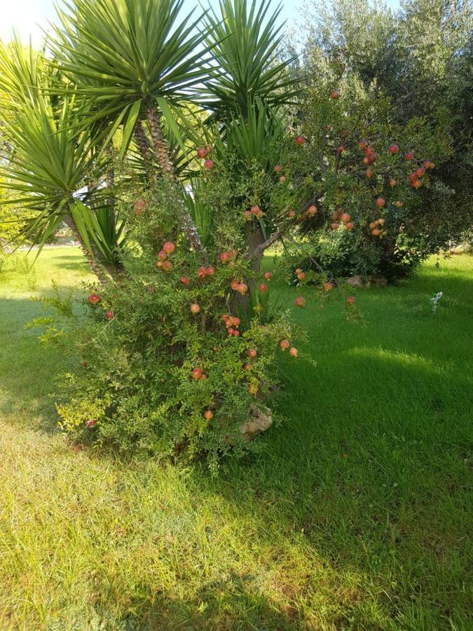 Relais D 'Itria Bed and Breakfast Grottaglie Εξωτερικό φωτογραφία
